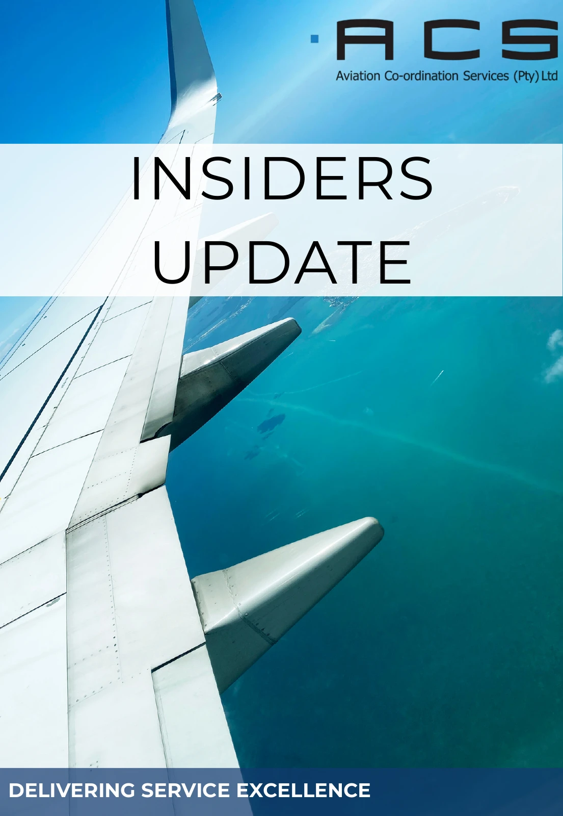 ACS Insiders Update newsletter cover showing an aircraft wing above the coast